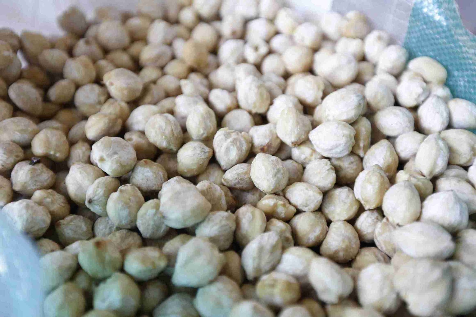 PREMIUM WHOLE CANDLENUT