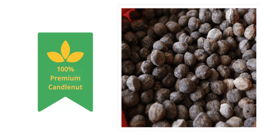 Premium Candlenut