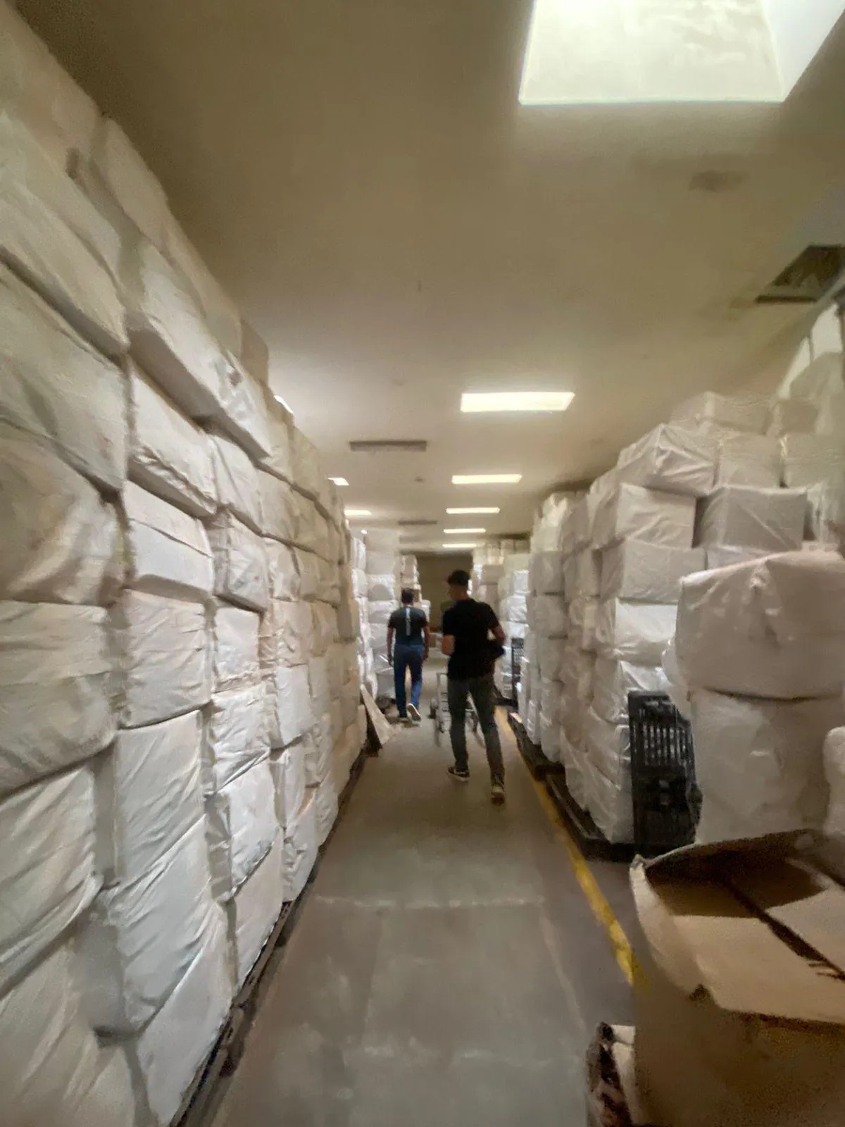BULK EXPORT SUPPLY